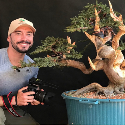 Abc do Bonsai