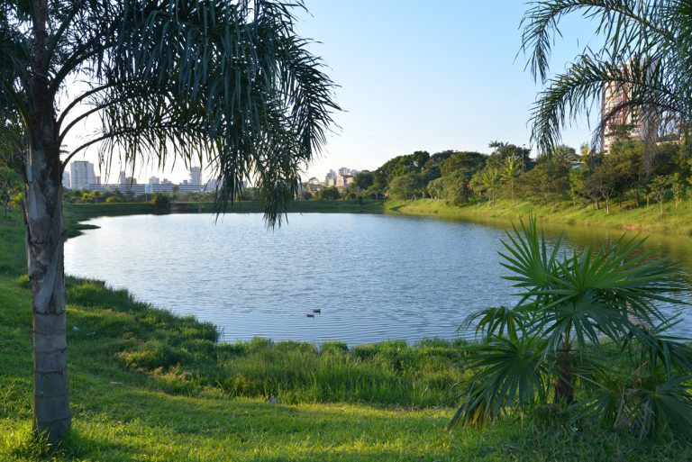 Parque Central Santo André